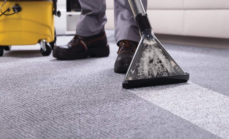 how to clean carpet like a pro expert tips